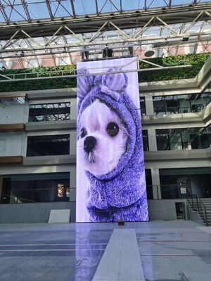 10000 godzin żywotności pełnobarwny przezroczysty ekran LED do reklamy w pomieszczeniach