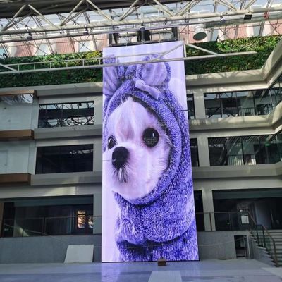 Dobra cena. P10 LED przezroczysta ściana wideo z kątem widzenia 120 stopni 10000 godzin żywotności w Internecie